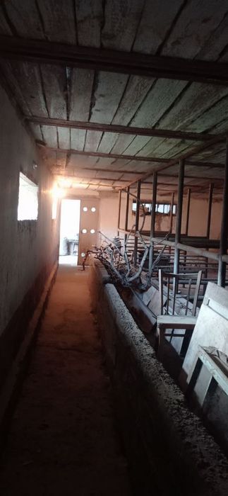 Zangiota tuman Tokzor Mfy Ganchkor koʻchasi