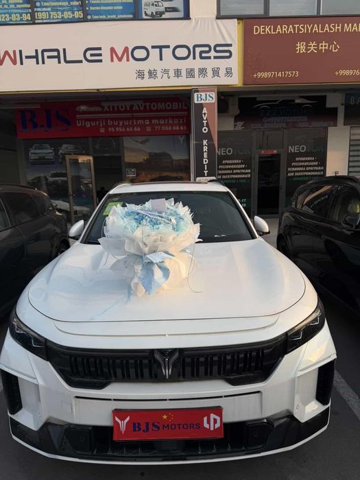 Voyah free 318 madel apollo tech nachi est 2025 bonusiga gul sovga