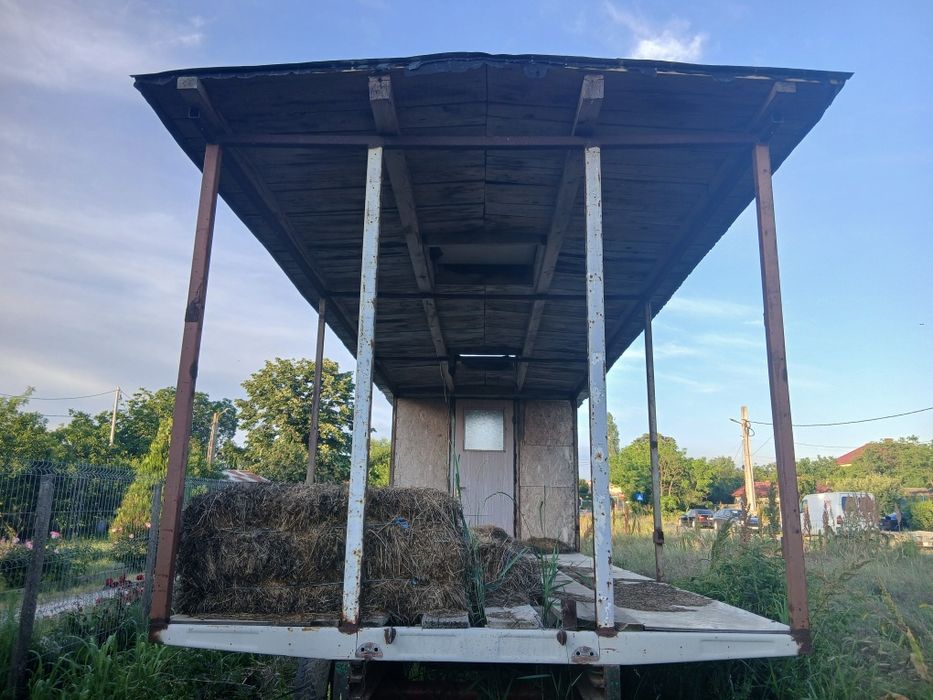 Platforma baloti, Pavilion albine