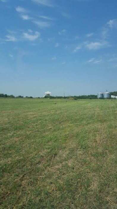 Baloti paie fan lucerna- Asiguram transport