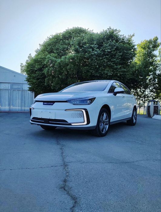 Onix puliga electromobil !!!