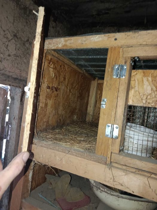 Крольчатник на 6 секции с гнездами