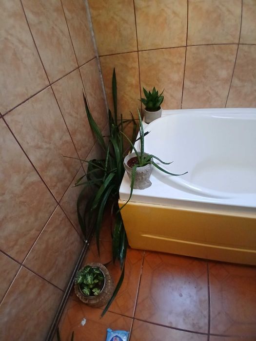 Apartament 2 camere Snagov