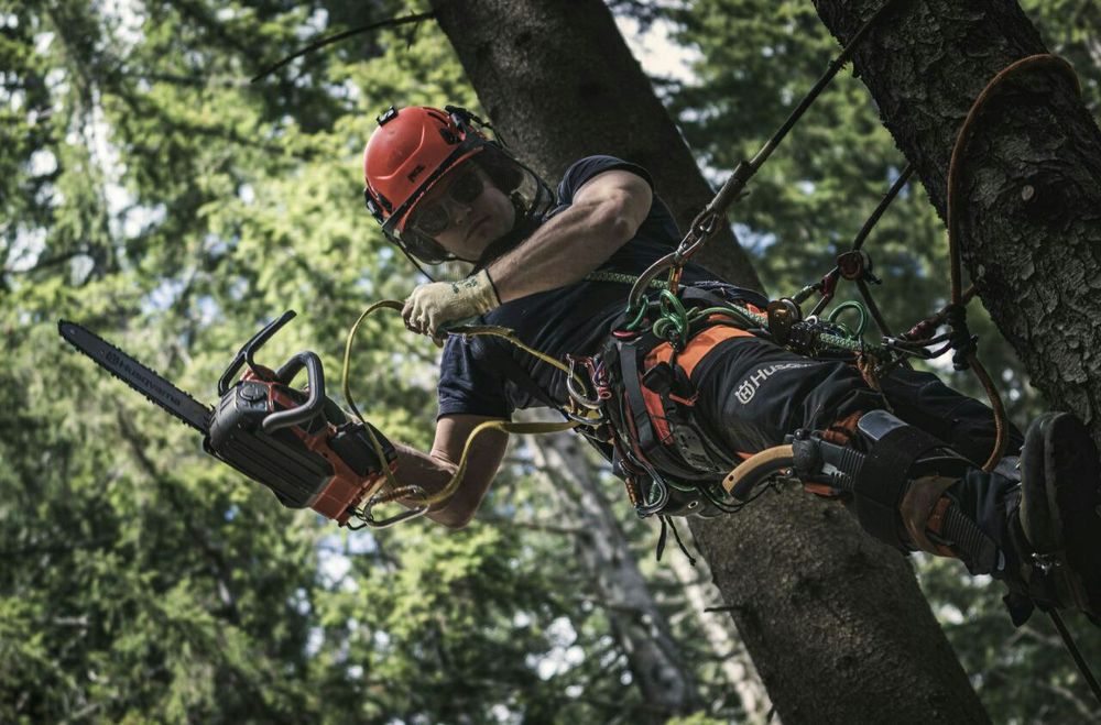 Daraxt kesish дарахт кесиш бензапела услугя