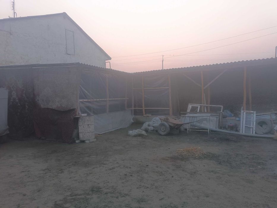 Muqimiy shaxarcha maschit kocha