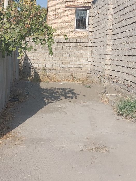 Дача, в янгиюльском районе, принадлежащая ранне Главташкенстрою.