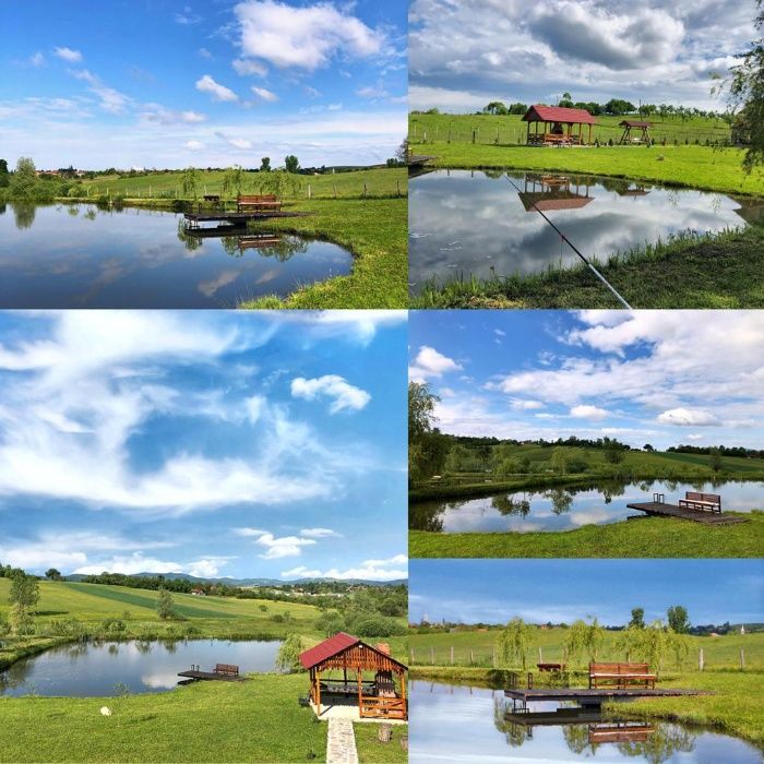 Cabana Livia - Bratca de inchiriat cu lac pentru pescuit