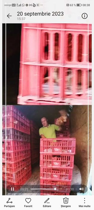 Gaini de oua crescute la sol, bune si de gatit