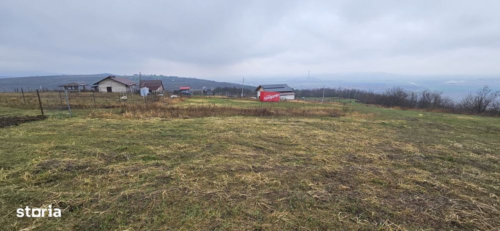 Teren intravilan Chicerea - Tomesti - 656 mp + acces, lângă pădure