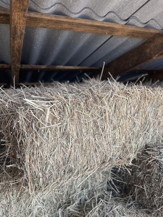 Даставка жоқ