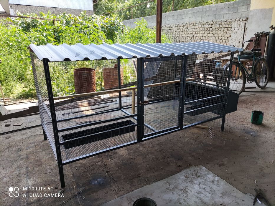 Tovuq kataklar sifatli