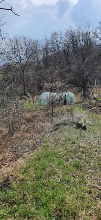 Teren intravilan str. Dealul Malului