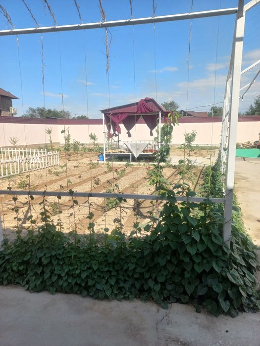 Аренда дача, сдается дача, Кайнар-Булак