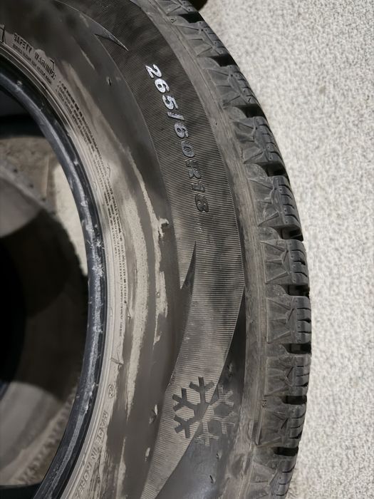 Шины зимние Nexen