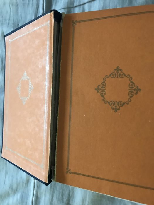 Книги Световна класика, Семейство Тибо