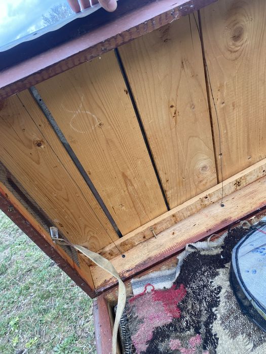 Vand 6 stupi de albine