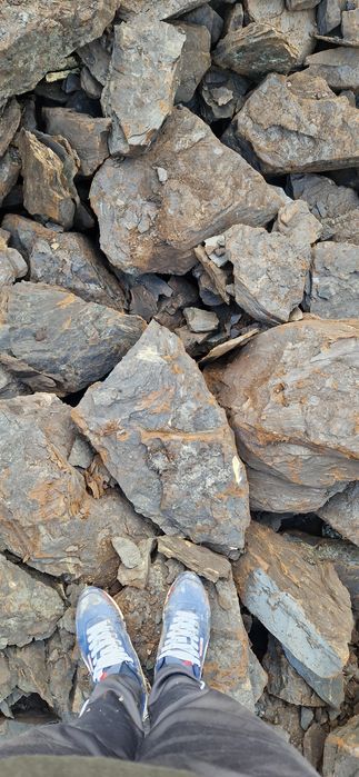 Carbune lignit  și Lemne