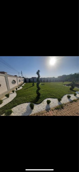 Gazon rulou si sistem de irigare