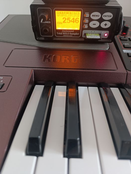 KORG pa1000/семплер total solo 1