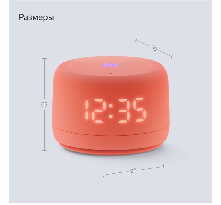 Алиса в оранджевем цвете