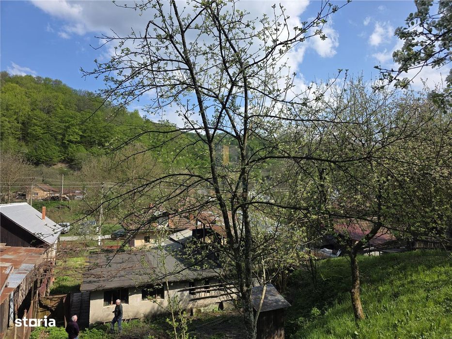 Casa cu teren generos in zona turistica Nadrag Timis