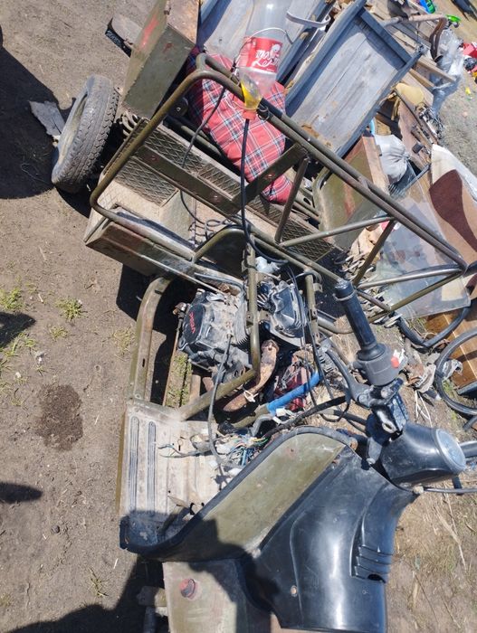 Продам 2 муравья недорого