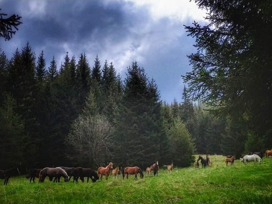 Продава се Къща в с. Лилково, Област Пловдив - 100 кв.м за 281 €/кв.м - Снимка #1