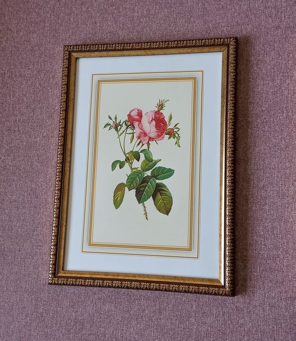 Картины- постеры "Розы-Винтаж-Виньетка".