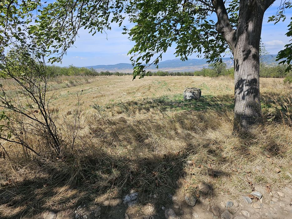 Продава се Парцел в Сапарева баня - 3096 кв.м за 7 €/кв.м - Снимка #3