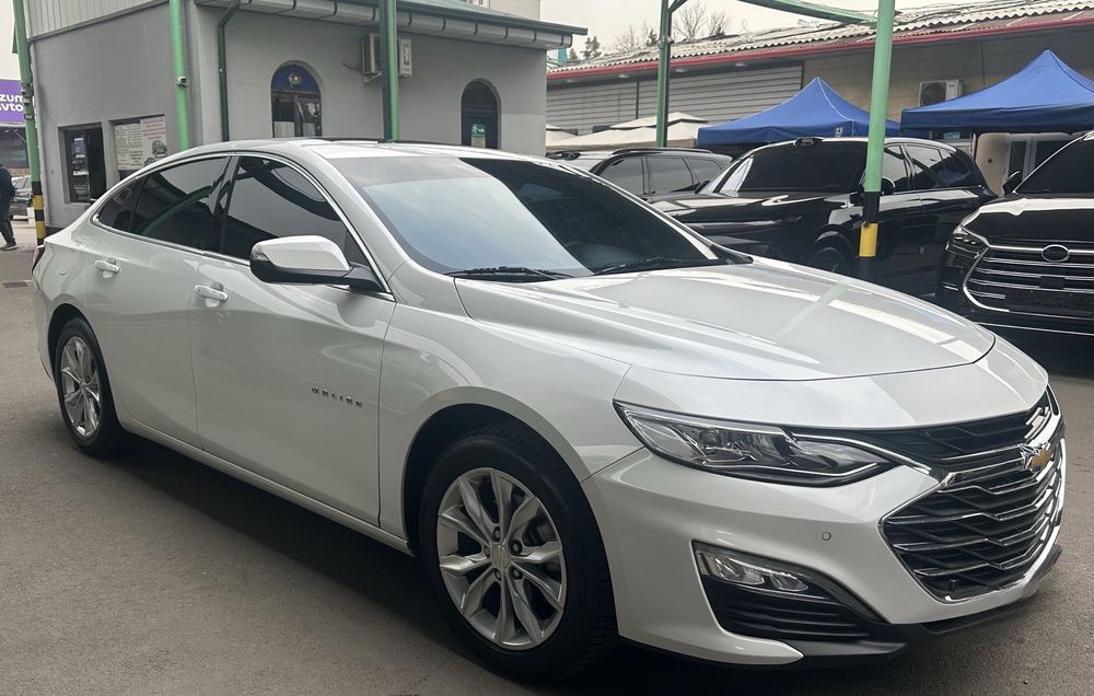 Malibu Primer 2020 год