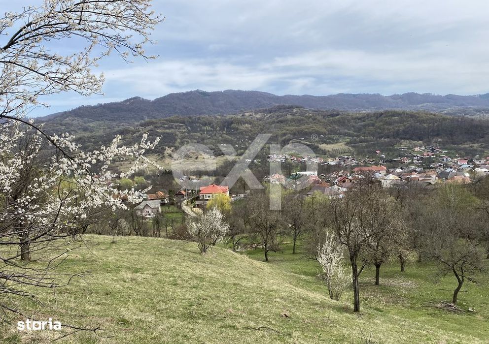 Oportunitate investitie in Corbi, Arges | 22.000 mp teren in zona de