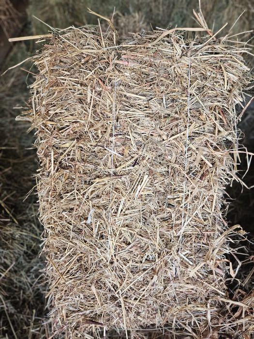 Сено в тюках клевер