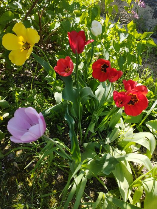 Продается большой дом с мебелью .