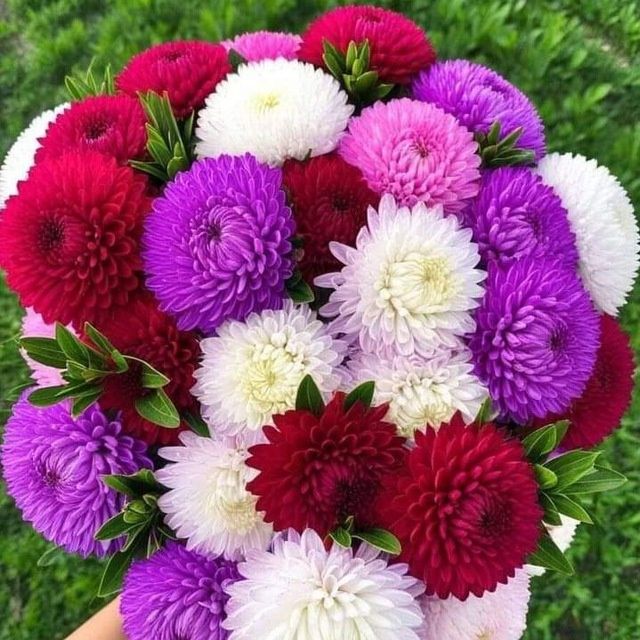 Инглиз тили нолдан урганинг