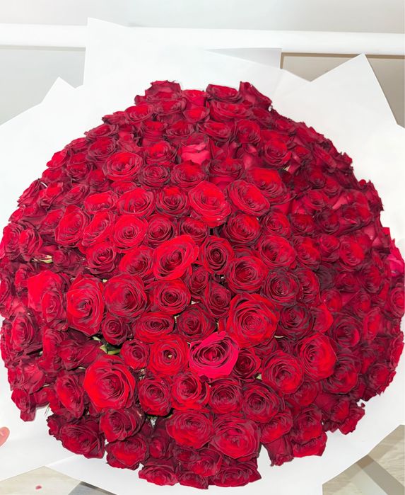 Голландские розы 201 штук,