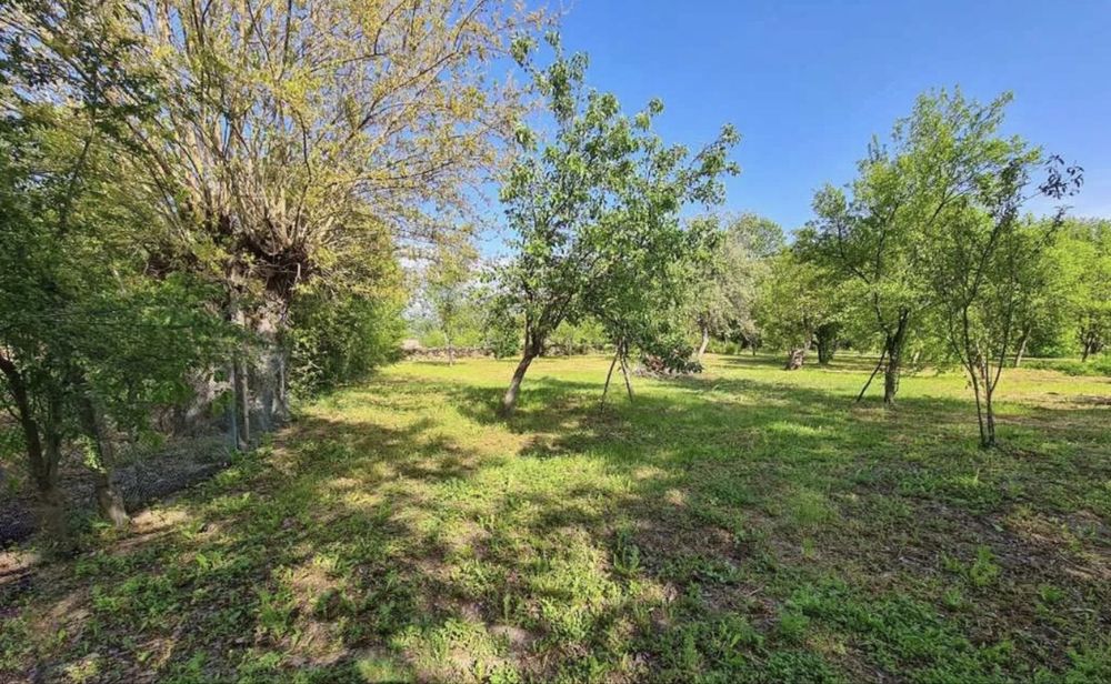 Къща в село Турчинча