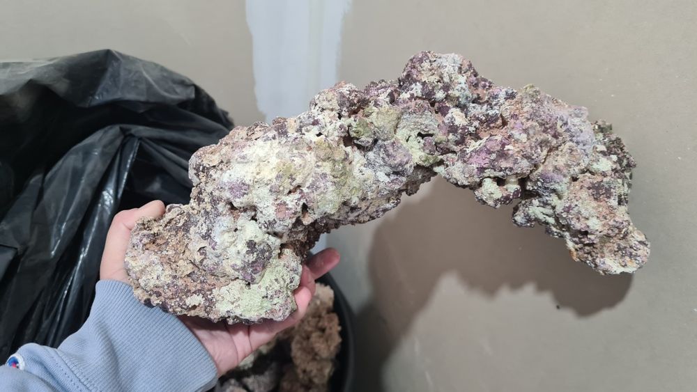 Piatra (Roca) marina Caribsea