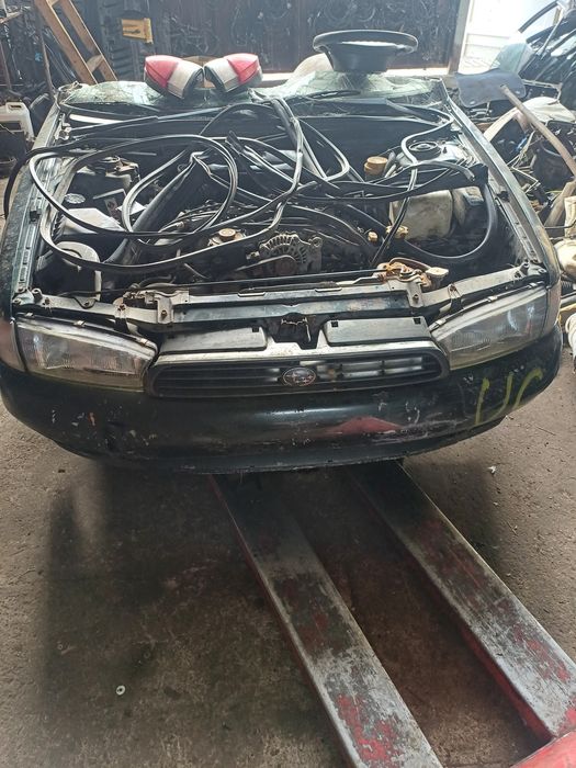 Новый привоз авкаров