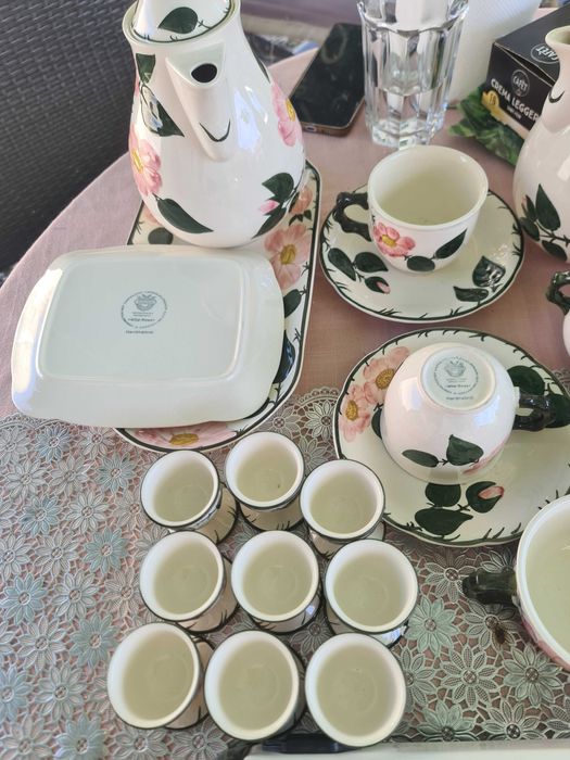 Wild-Rose  si Vileroy&Boch pictate de mana 41 de piese +plita electric