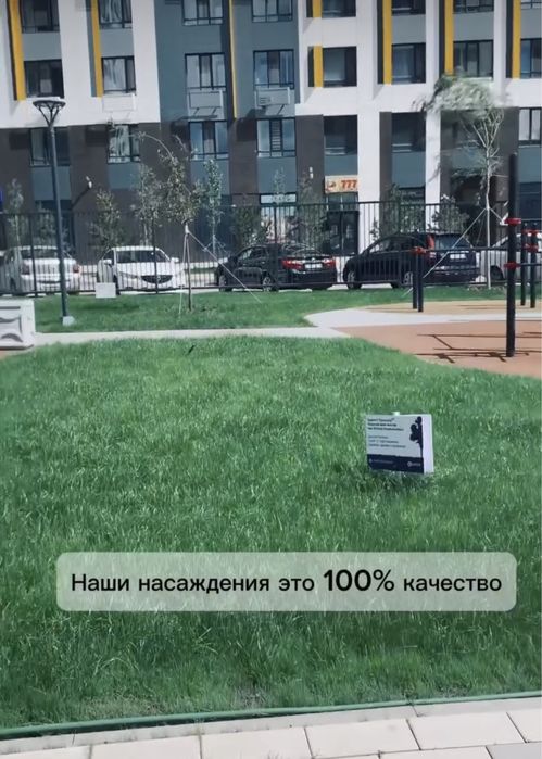 Посев газона от 1500