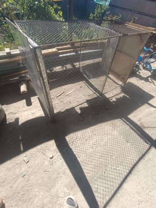 Yangi 2 tasi 1 da tovuq quyon katak