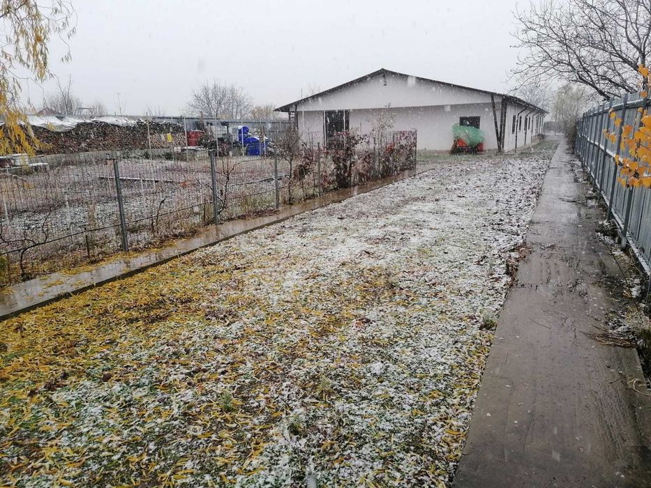Hala - Birouri Casa - Locuinta