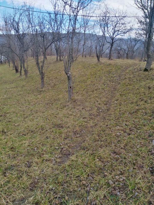Teren de vanzare in comuna Poienari de Muscel