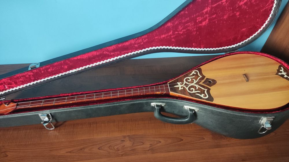 Домбыра профессионалды