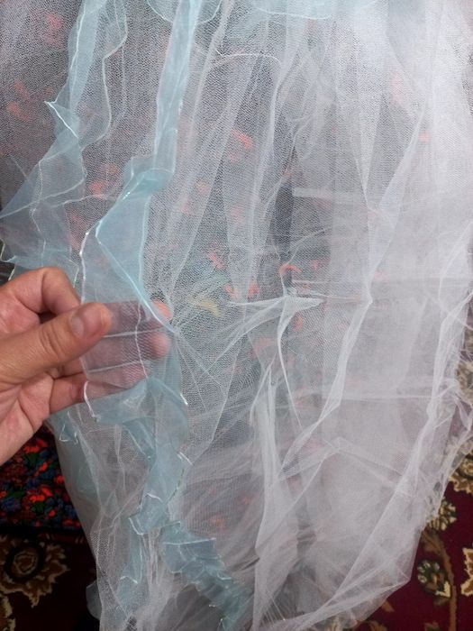 Detski kravat uchun tori sotladi