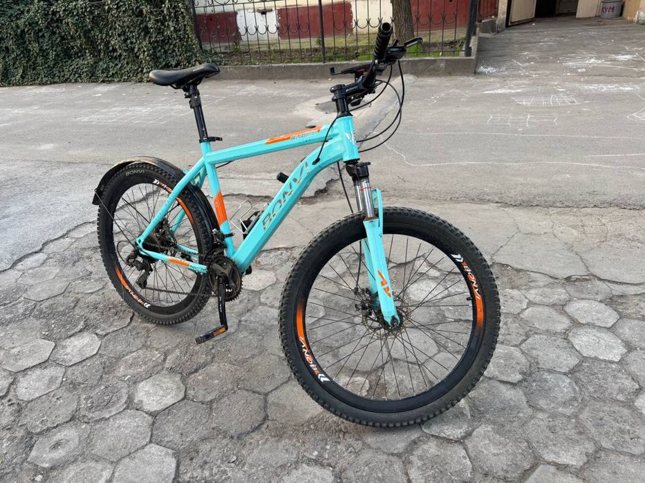 Velik Tifini rangada holati zor aybi yoq