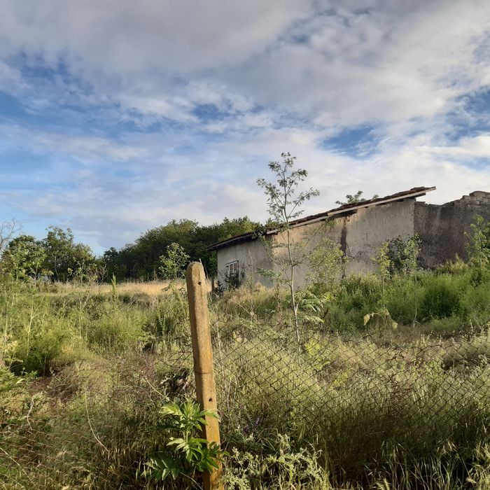 Продава се Парцел в с. Казимир, Област Силистра - 2000 кв.м за 5 €/кв.м - Снимка #5