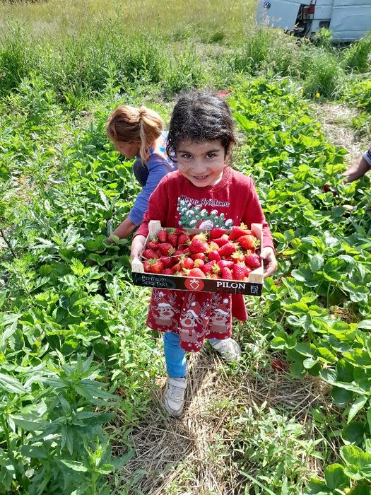 био целогодишен расяд