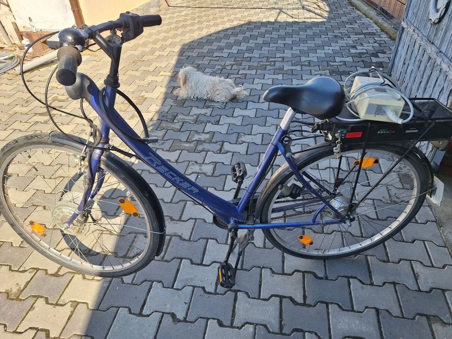 Bicicleta electrica