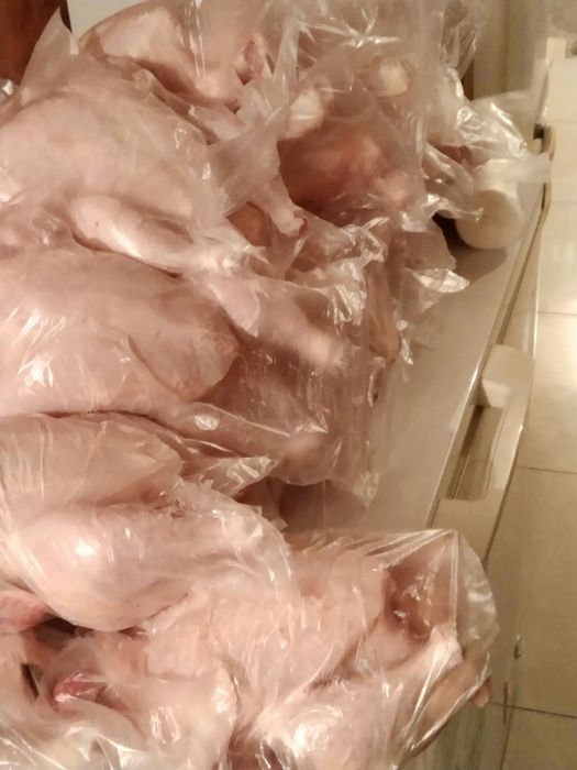 Продаю мясо домашнего бролера